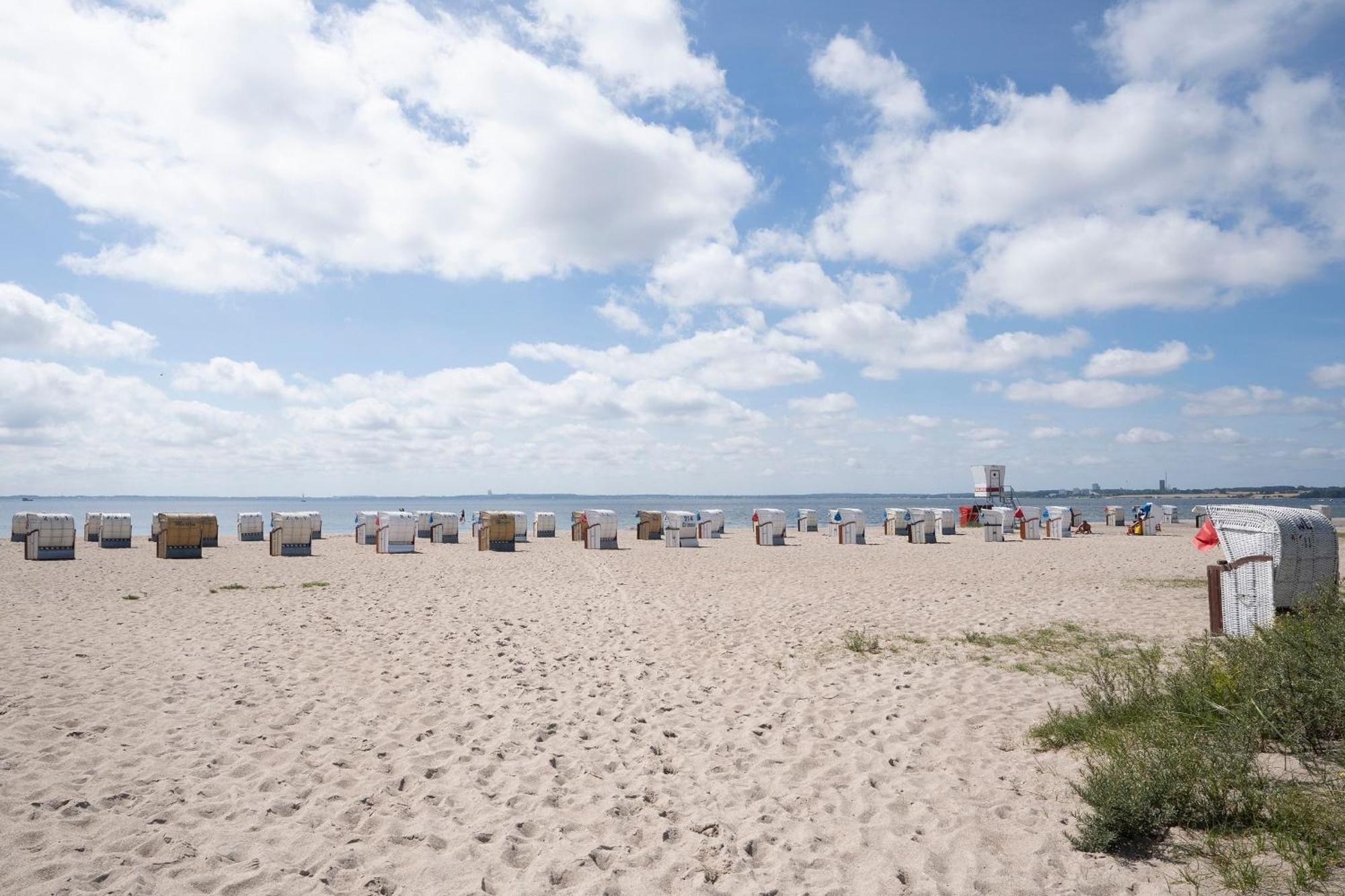 Eichenhain Strandtraeumer بيلزيرهاكين المظهر الخارجي الصورة